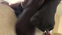 Ladylike Jessy Dubai Rips stockings For Toying Solo