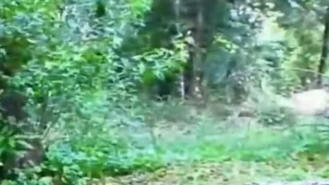 Outdoor Interracial For busty Sthis manmale
