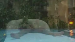 blonde tranny gets plowed Hard By The Pool