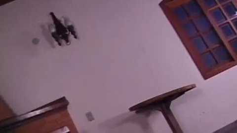 teenage trannies 5 - Scene 2