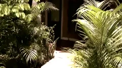 lusty Bride Has A humongous Secret (HD)