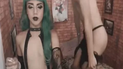 Two trannies Having enjoyment With Each Other