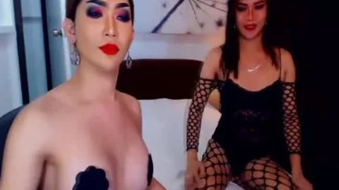 ladyboy acquires nailed In Dogstyle Position