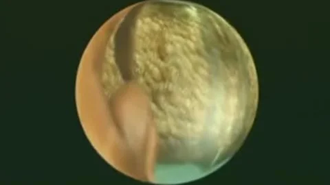 A Real Woman Can't Do This