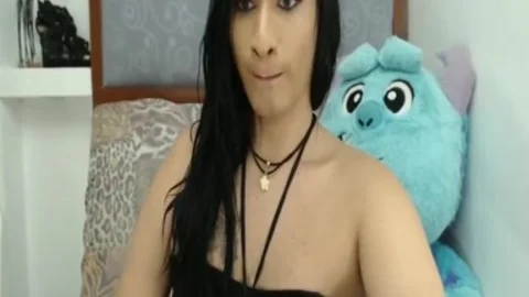 cute BBW ladyboy
