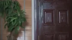 bang The Plumber