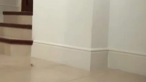 MILF gets A banging From A ladyman Rm450