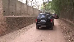 Thayla Andrade Is A lady-man With A huge dick