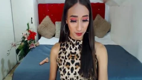Very kinky And dirty shemale babe lusty On web camera