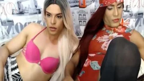 sheboys Upskirt arse Licking