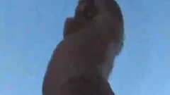 busty latina TS poundls A chap Outdoor