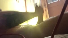 knob Suckin