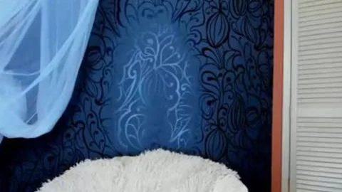 wild tranny Has Orgasms In Live