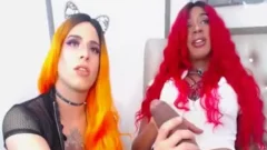 Real Anaconda cock Sucked By sheboy ally