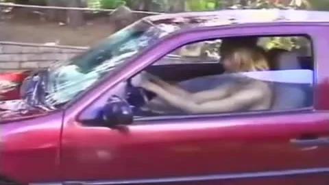 Car Cleaning