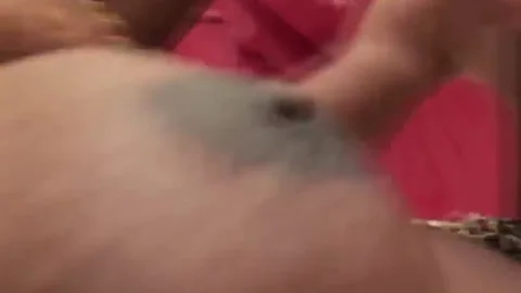 engulf My enormous shemale penis Sissy Faggot
