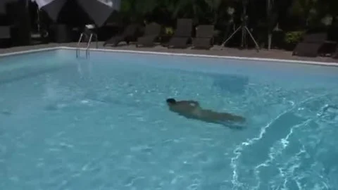 Crystal A large rod