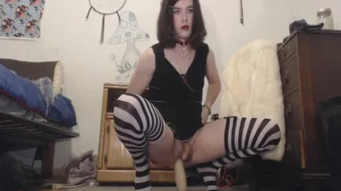 SISSY TRANSGENDER throbbing dildo