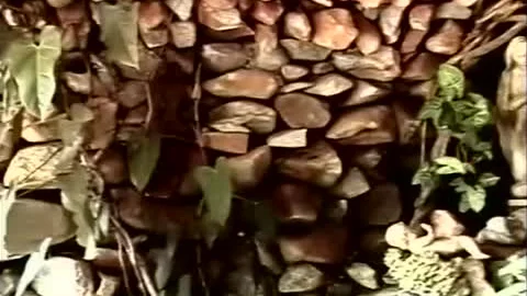 SECRETS OF SAO PAULO 4 - Scene 5