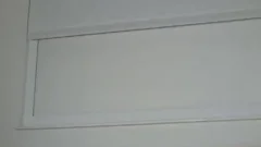 Hotblacktrans Live tranny cock