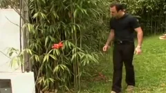 booty-plowing In Nature - Shock Wave