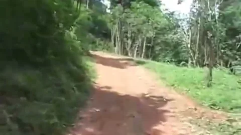 Outdoor Sex For your enjoyment