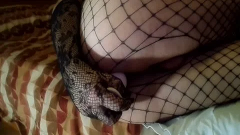 Margo-Apollo: A Feminized lad Plays With His hoe ass ass plug Sissy Femboy