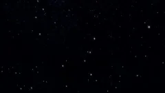 Sci Fi Animated shemale dream