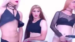 pretty ladyboys Undressing And Jacking cock