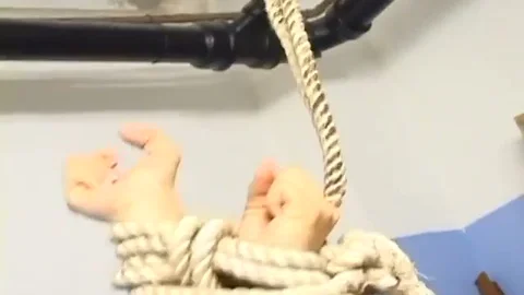 tied Up shetwink Is Released Just For A fine plow