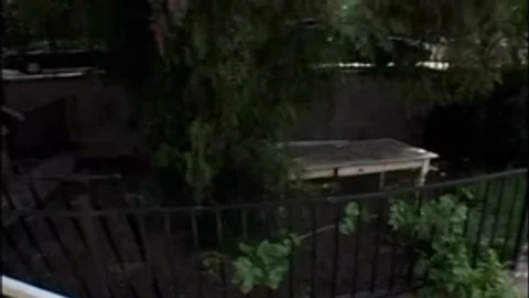 Carstuds Cruz-scene2