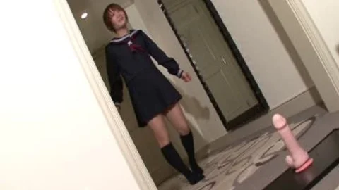 tranny sheboy toys girls vagina And Cant acquire sufficiently