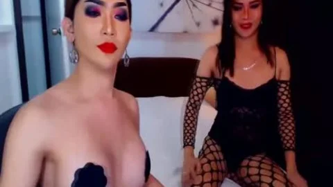 ladyboy acquires nailed In Dogstyle Position