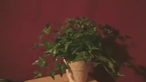 SUMMER cuties AND SOME ARE NOT 1 - Scene 1