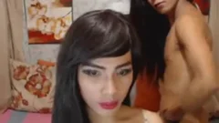 Two fascinating sheboys Are rod Hungry