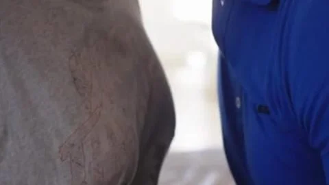 Ts Angelina amazing butthole With Stepbro