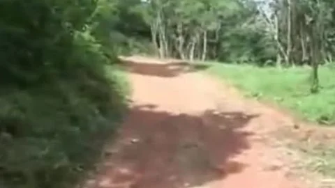 Outdoor tranny Sex Till Outer cumshot
