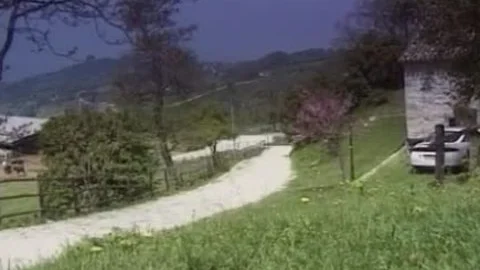 Trans Brasiliana Si Fa Inculare Nel Giardino