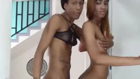 black tgirls hammer Each Other raw