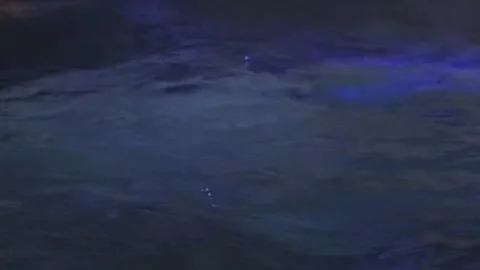 JIll Kelly receives ass nailed By A ladyman