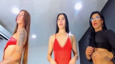 trio In A Regular Erotic Day