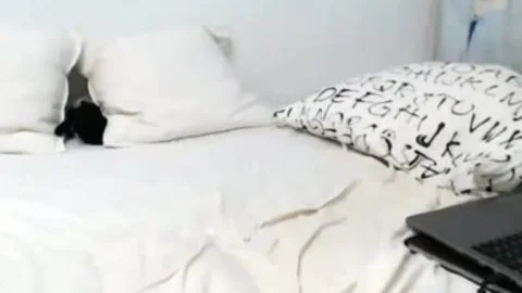 Petite LadyBoy Strokes Her penis And Shows Her F