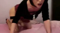 Steffanietgurl- Mix Of cams