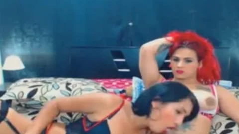 Two astonishing sheboy pleasure Each Other