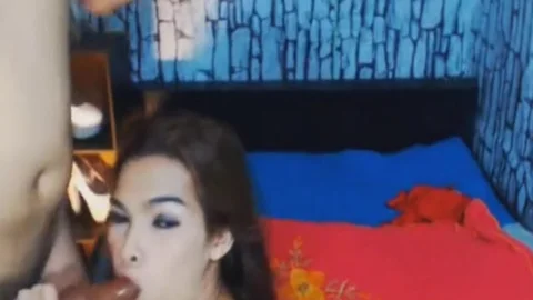 Two tranny chick engulfing And nailing On web camera