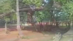 pretty Ladyboys Sucks And bonks outside