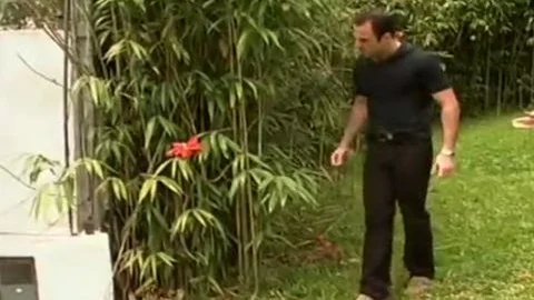 booty-plowing In Nature - Shock Wave