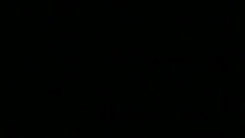 she Male Face dick juice 3 - Scene 1
