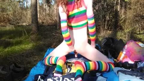 Rainbow Forest
