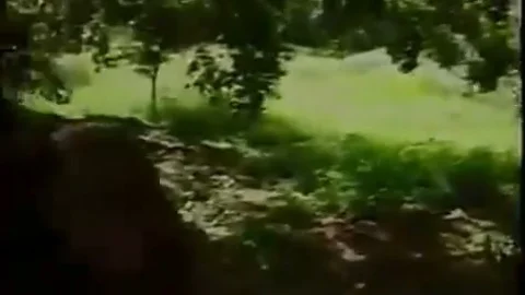 jizzd irrumation And pooperhole
 outdoors